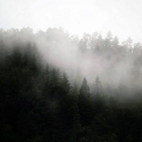 قاضی گفت جرم گفت این بوده لبخند زد قاضی لبخند تو شهر ما